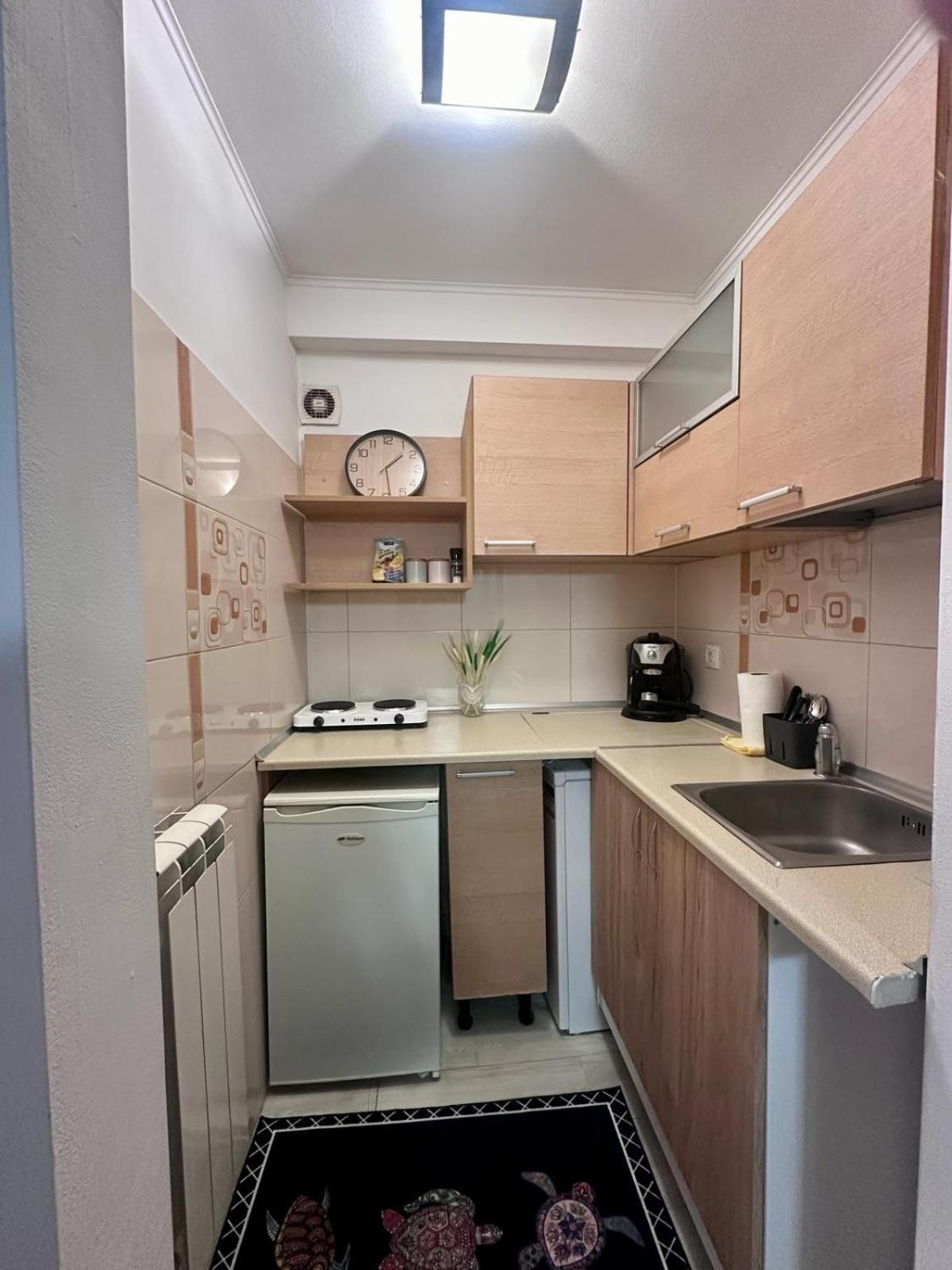 Downtown Studio Calea Victoriei Ultracentral Бухарест Экстерьер фото