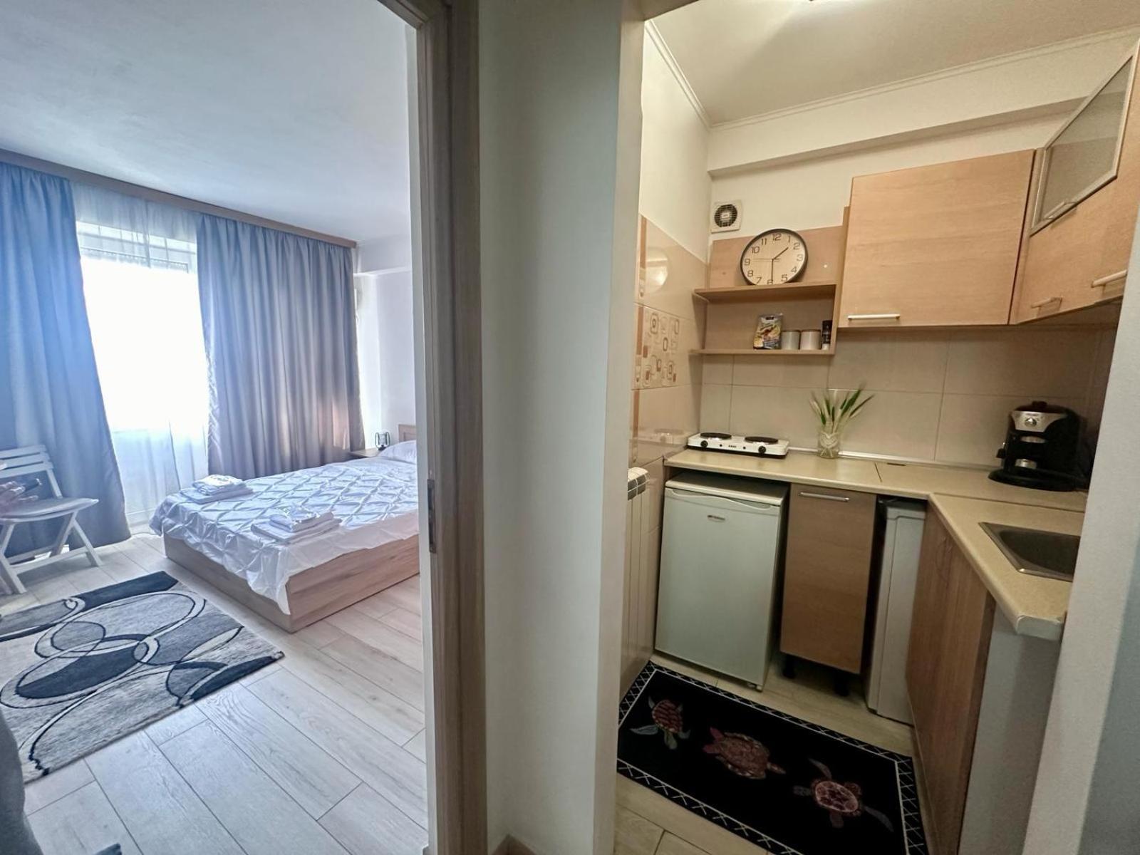 Downtown Studio Calea Victoriei Ultracentral Бухарест Экстерьер фото